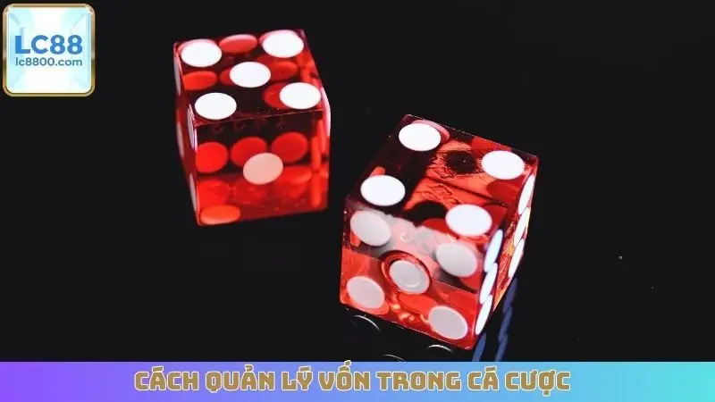 Cách Quản Lý Vốn Trong Cá Cược