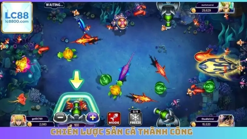 Chiến lược săn cá thành công