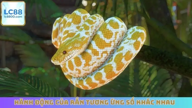 Hành động của rắn tương ứng với con số khác nhau