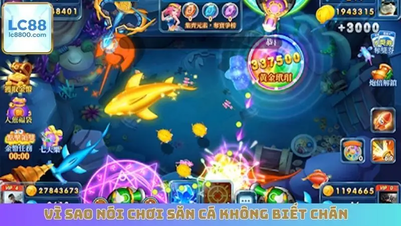 Vì sao nói chơi săn cá không biết chán