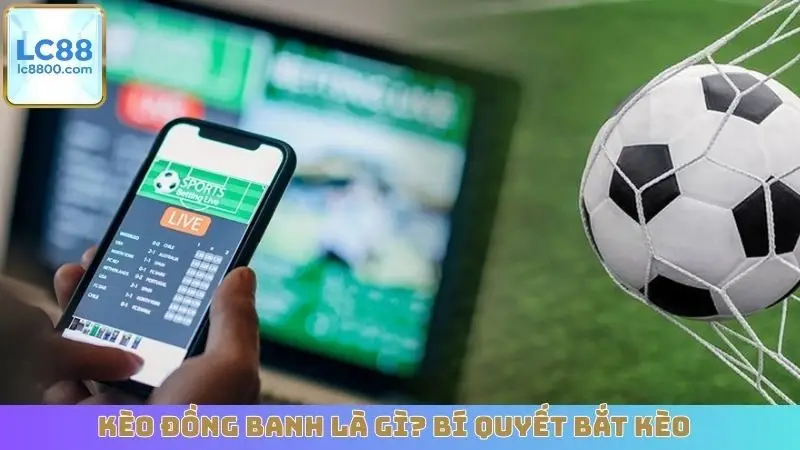 Kèo Đồng Banh Là Gì? Bí Quyết Bắt Kèo Chuẩn Từ Cao Thủ