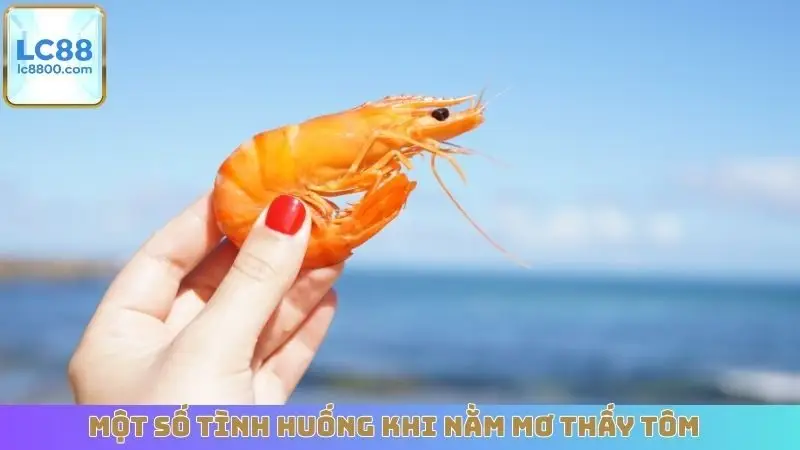 Một số tình huống khi nằm mơ thấy tôm