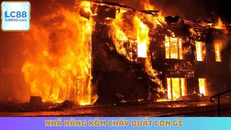 Nhà hàng xóm cháy quất con gì