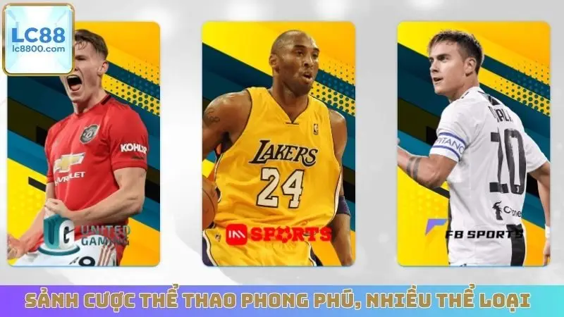 Sảnh cược thể thao phong phú, nhiều thể loại