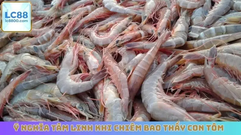 Ý nghĩa tâm linh khi chiêm bao thấy con tôm